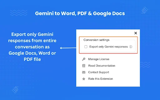 AI Chat to Word, PDF y Google Docs: Exporta Gemini Fácilmente - Screenshot 4