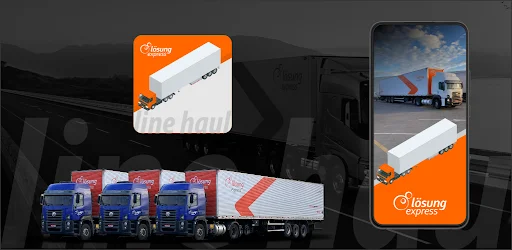 Descargar Losung LineHaul: Integración Logística y Carrier Express - Screenshot 5