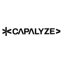 Capalyze: Web Scraper IA para Excel – Extracción de Datos Fácil