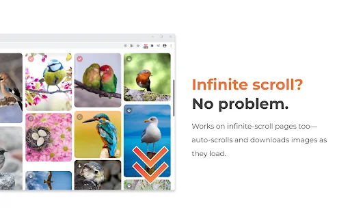Grabit: Descargador de Imágenes para Chrome – Descarga Rápida - Screenshot 5