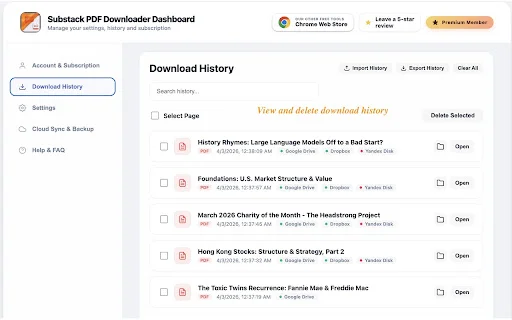 Substack PDF Downloader: Guarda tus newsletters en PDF y más - Screenshot 5