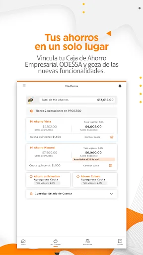 Descarga ODESSAPP APK: Gestión Financiera Eficiente – Última Versión - Screenshot 7