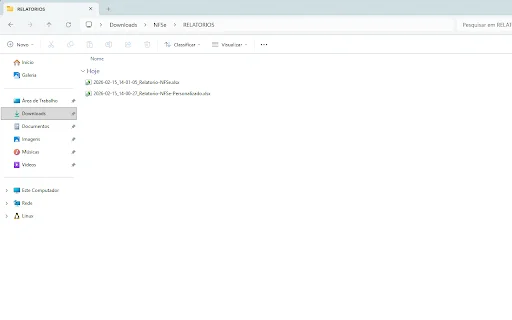 Descargar NFSe: Facturas Electrónicas XML y PDF – Extensión - Screenshot 4