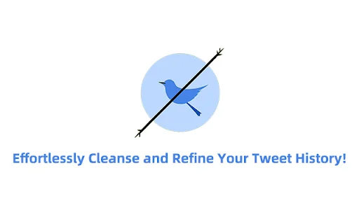 DeleteTweets: Elimina tweets y retweets en masa de forma rápida - Screenshot 1