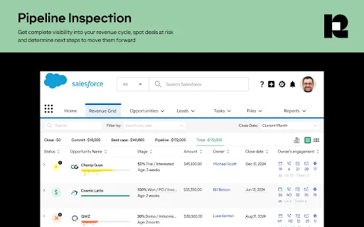 Revenue Grid para Salesforce y Gmail: Optimiza tus Ventas - Screenshot 2