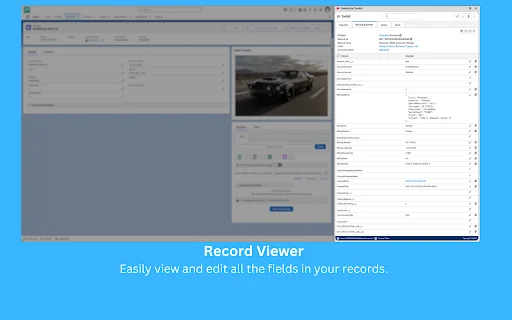 Salesforce Toolkit: Potencia tu Productividad en Salesforce - Screenshot 5