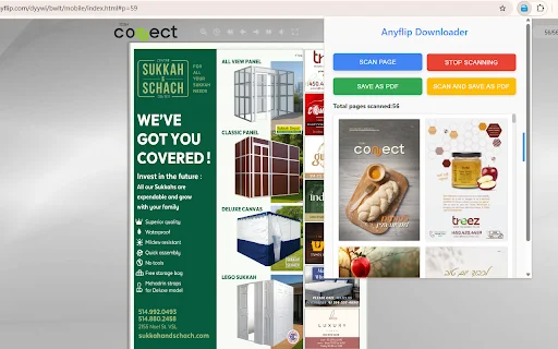 Descargar Anyflip Downloader: Guardar Libros Digitales a PDF - Screenshot 2