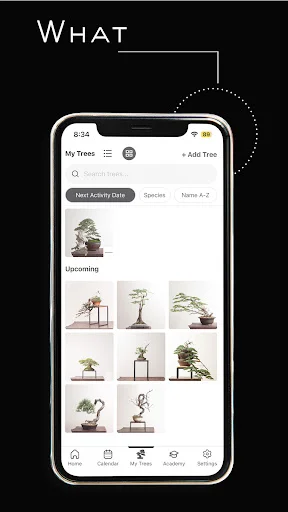 Mirai Mobile: Tu Guía Personal de Bonsái – Descarga la App - Screenshot 8